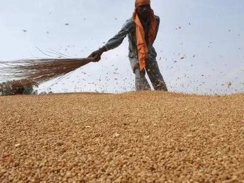 Nóng cuộc đua đưa một loại ‘báu vật’ vào thị trường Trung Quốc: Nga nắm lợi thế giá rẻ hấp dẫn, Úc than khó do sắp dư thừa số lượng lớn
