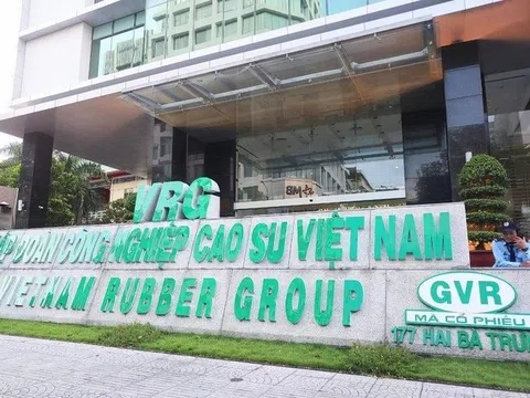 Tập đoàn Cao su (GVR) muốn nâng cổ tức tiền mặt lên 1.600 tỷ