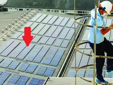 DN hàng đầu thế giới có hơn 15.000 nhân viên muốn trợ giúp Việt Nam trong lĩnh vực sẽ mang về 160 tỷ USD