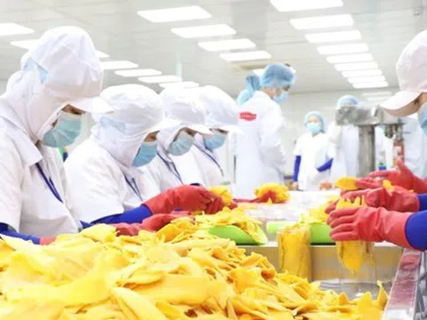 Vật vã trong ‘nắng hạn’ lâu năm, doanh nghiệp Việt vừa gặp được ‘mưa rào'