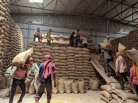 Sau gạo, Ấn Độ lại gây 'cú sốc' cho thị trường nông sản thế giới: dừng nhập khẩu mặt hàng chủ lực, giá có nguy cơ lao dốc