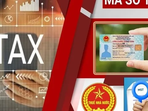 Sử dụng số định danh cá nhân thay cho mã số thuế từ 01/7/2025: Lưu ý với người nộp thuế