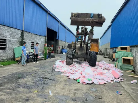 Tiêu hủy gần 2.000 gấu bông “Baby Three” chứa chất độc hại