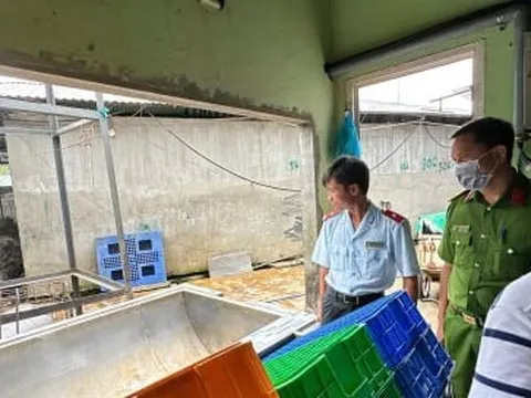 C.P. Việt Nam thừa nhận hình ảnh heo bệnh được chụp tại lò mổ thuộc công ty