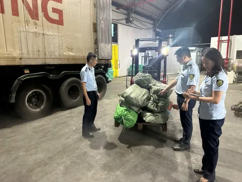 Khám một kho hàng đông lạnh ở Quảng Ninh, phát hiện "bí mật" đáng sợ bên trong