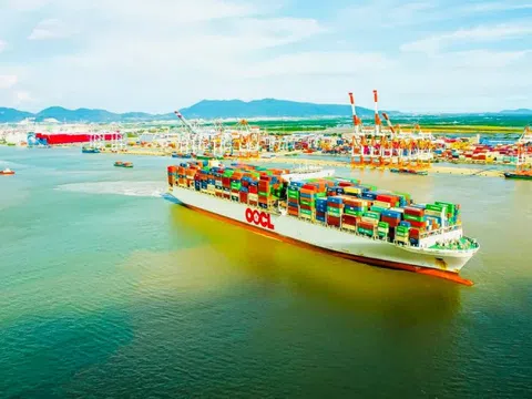 Bà Rịa - Vũng Tàu: Công nghiệp chế biến tăng mạnh