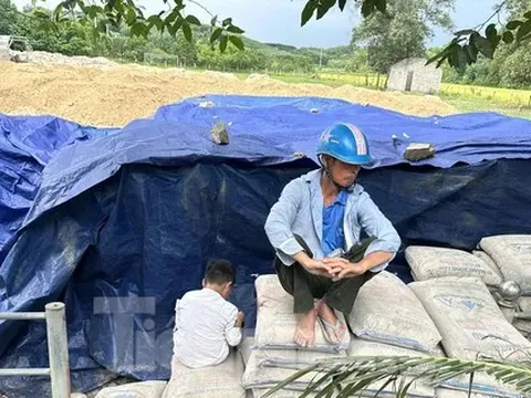 Để hơn 200 tấn xi măng hư hỏng, chủ tịch xã bị bắt