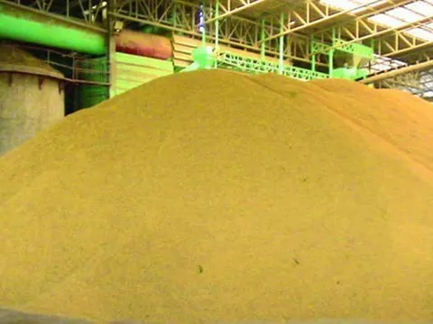 Ngoài sầu riêng, thêm 2 mặt hàng nông sản quan trọng từ Thái Lan sắp thành đối thủ lớn của Việt Nam