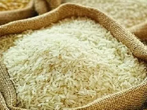 Xuất khẩu gạo Việt Nam mở rộng thị phần tại Canada