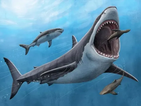 Dragon Capital 'ồ ạt' mua thêm gần 5,37 triệu cổ phiếu Vinhomes trong tháng giá cổ phiếu tăng hơn 30%