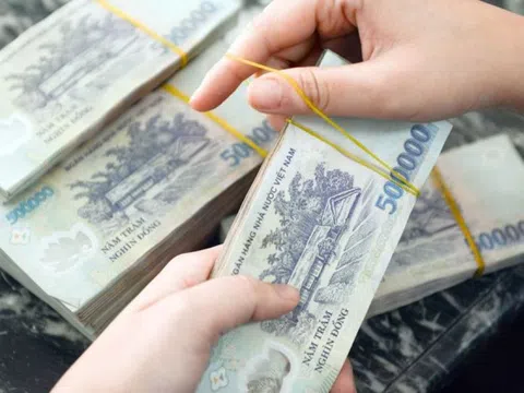 Một hộ kinh doanh bán lẻ thủy sản thu 560 tỷ đồng trong năm 2024, 5 hộ kê khai doanh thu hơn 200 tỷ đồng/năm