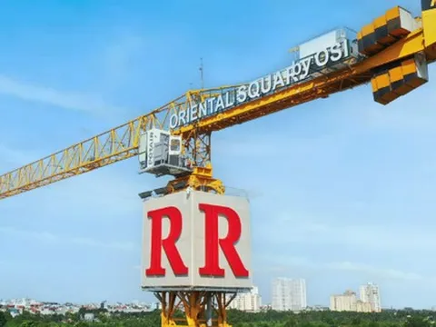 Động thái mới của nhà đầu tư nước ngoài tại Ricons