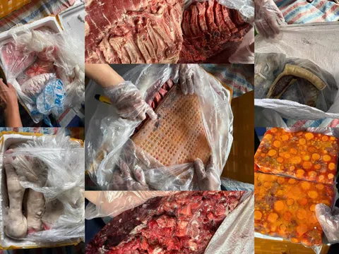 Rùng mình hình ảnh 20 tấn nội tạng bò, gà nấm mốc, bốc mùi hôi thối ém trong container đông lạnh