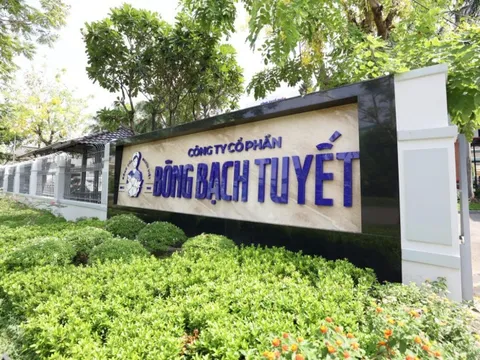 Sự hồi sinh mạnh mẽ của “tượng đài” bông y tế Việt