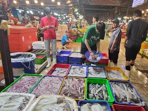 Bộ Tài chính: Có hộ kinh doanh hải sản tươi sống đạt doanh thu gần 560 tỉ đồng