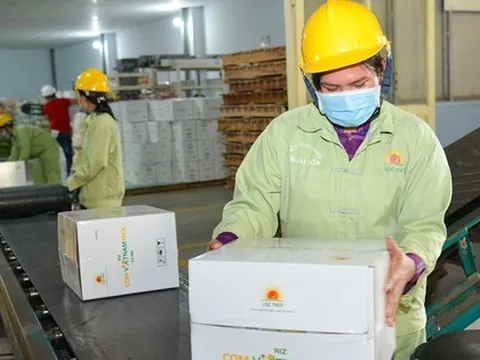 Lộc Trời dự kiến lỗ hơn 500 tỷ đồng trong năm 2025, hủy kế hoạch trả cổ tức 2023