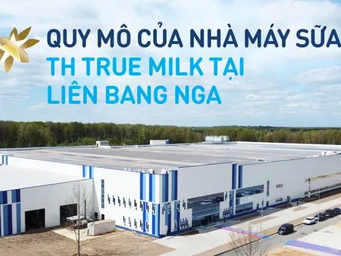 Những con số làm nên quy mô của nhà máy sữa hàng đầu tại Nga của TH true MILK