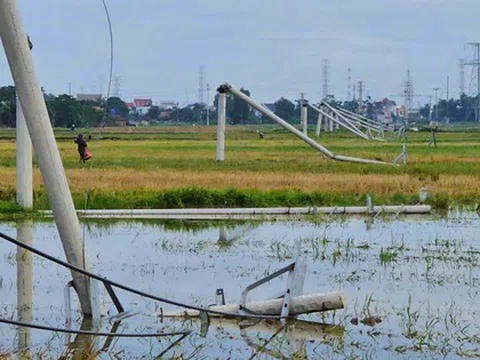 Cột điện đường dây 22 kV gãy đổ như "ngả rạ" sau mưa dông ở Thanh Hóa