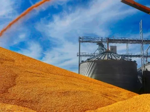 Mỹ tìm ra loạt cứu tinh cho mặt hàng bị Trung Quốc ‘xa lánh’: Hàng loạt khách hàng vừa chốt đơn hàng triệu tấn, giá rẻ hấp dẫn