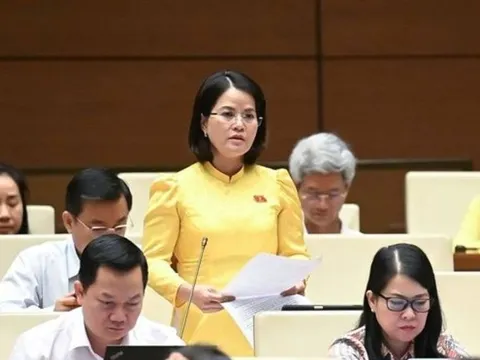 Nạn hàng giả, gian lận thương mại: Mới "chống" mà chưa thấy "xây"