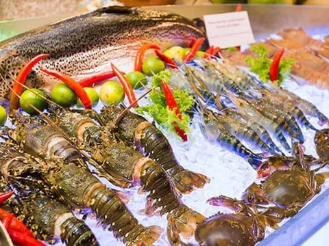 Hộ kinh doanh bán thủy sản đạt doanh thu 560 tỷ đồng/năm, cao hơn nhiều doanh nghiệp niêm yết