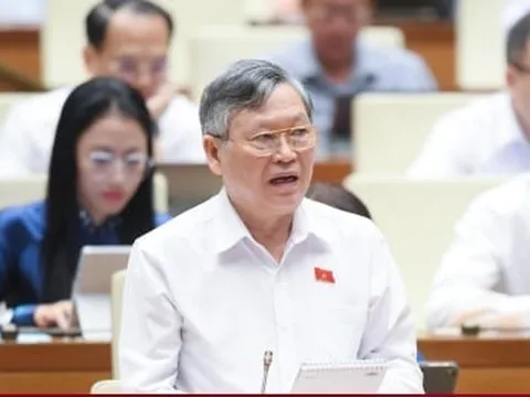 ĐBQH: Cần chế tài đủ mạnh để triệt hàng giả, hàng nhái