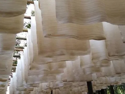 Hàng chục nghìn tấn 'vàng trắng' của Việt Nam được Malaysia đổ tiền mua: xuất khẩu tăng hơn 300%, nước ta sở hữu diện tích trồng hơn 900.000 ha