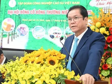 VRG sẽ đầu tư thêm 70.000 ha cao su tại Lào, Campuchia