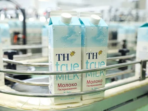 Dự án chăn nuôi và chế biến sữa tươi sạch của TH tại “vựa sữa” Kaluga của Liên bang Nga