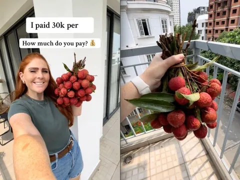 Bỏ 30.000 đồng/kg mua loại trái cây yêu thích ở Việt Nam, khách Tây khiến dân mạng bái phục vì "mát tay" chọn được giá hời
