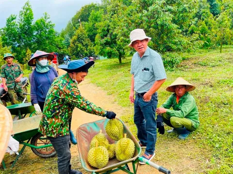 Bầu Đức tuyển gấp 100 kỹ thuật viên sầu riêng, thưởng 700.000 đồng cho ai giới thiệu ứng viên, không giới hạn số lần