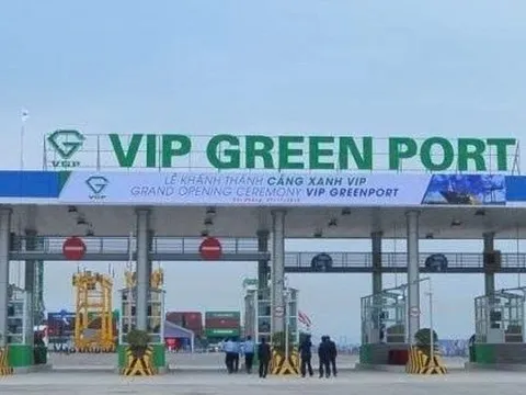 Viconship muốn ‘xả hàng’ hơn 6,3 triệu cổ phiếu Cảng Xanh Vip
