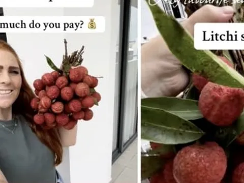 Sốt clip cô gái Tây cười tít khoe chùm vải ngon mua với giá 30 nghìn đồng/kg