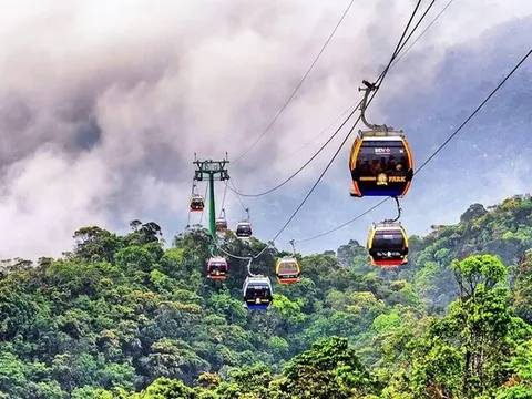 Kết quả kinh doanh của Công ty Cáp treo Bà Nà 2024: Lợi nhuận gộp ổn định, quy mô tài sản tăng