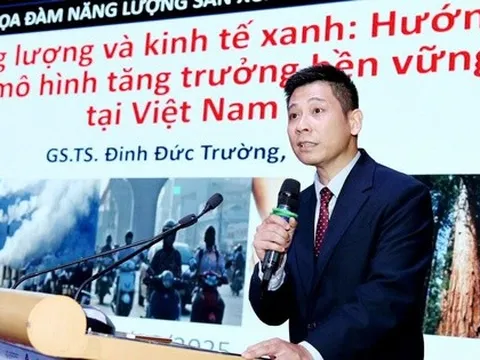 GS.TS Đinh Đức Trường: "Một đôi giày Nike giá 200 USD nhưng Việt Nam chỉ thu về khoảng 15 USD, trong khi phải gánh chịu chi phí môi trường rất lớn"