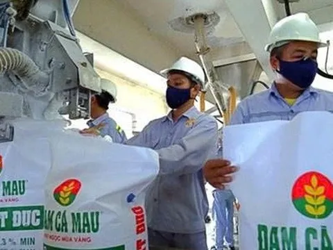 Đạm Cà Mau chốt ngày chi trả hơn 1.058 tỷ đồng cổ tức năm 2024