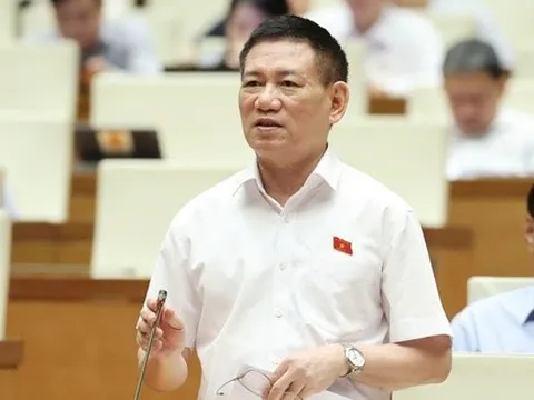 Phó Thủ tướng Hồ Đức Phớc: Nên áp dụng thuế khoán đối với hộ kinh doanh, buôn bán nhỏ, doanh thu dưới 1 tỷ đồng