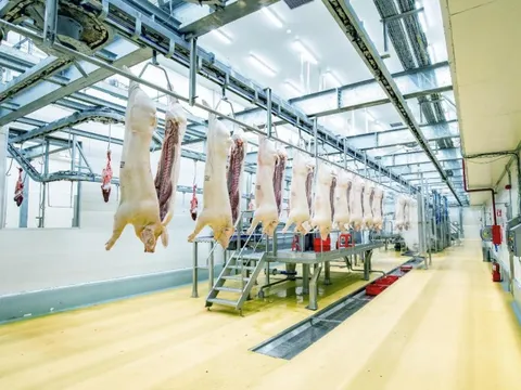 So găng doanh nghiệp nội và ngoại trong ngành chăn nuôi