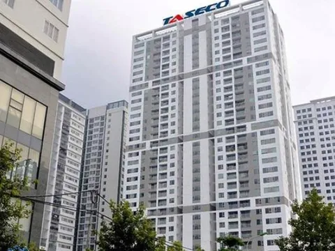 Taseco Land chia cổ tức 15%, công ty mẹ "đút túi" 340 tỷ đồng tiền mặt