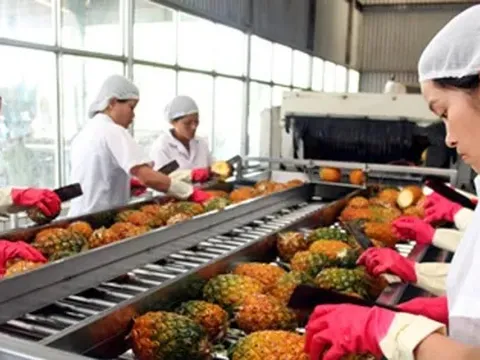 Vì sao Việt Nam tăng nhập khẩu nông sản?