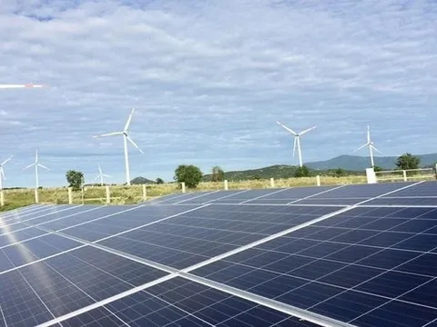 Bất động sản Trường Thành bị xử phạt 240 triệu đồng