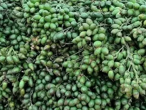 Từng tăng nhập khẩu 1.200%, một mặt hàng từ Trung Quốc đổ bộ ngược trở lại Việt Nam, nước ta chi gần 300 tỷ đồng mua hàng