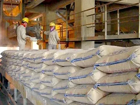 Vì sao tiêu thụ xi măng giảm mạnh?