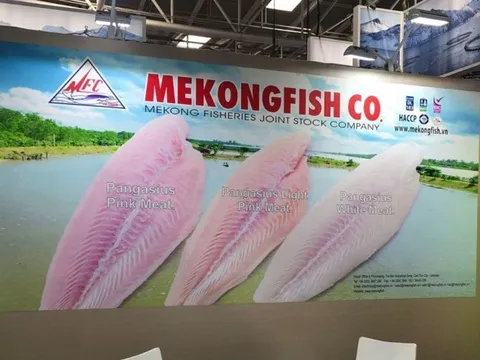 Nhân sự cấp cao Thủy sản Mekong muốn thoái sạch vốn