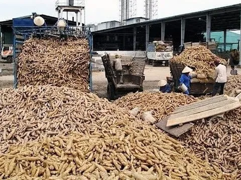 Hàng chục nghìn tấn hàng ùn ứ ở cửa khẩu: Bộ trưởng Thái Lan vừa nhấn mạnh điều gì?