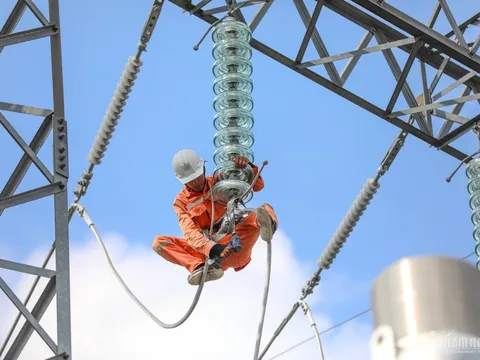 Chuyện hy hữu: Cổ phiếu 259.000 đồng chào bán giá 10.000 đồng vẫn 'ế', nhà đầu tư duy nhất 'quay xe' phút chót