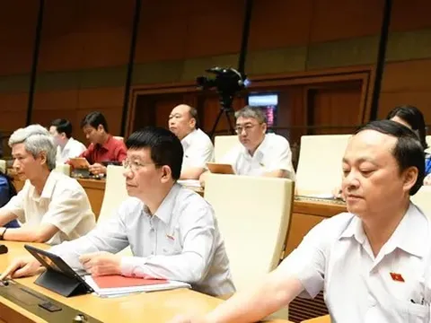 'Chốt' một quốc tịch với cán bộ giữ chức danh theo nhiệm kỳ