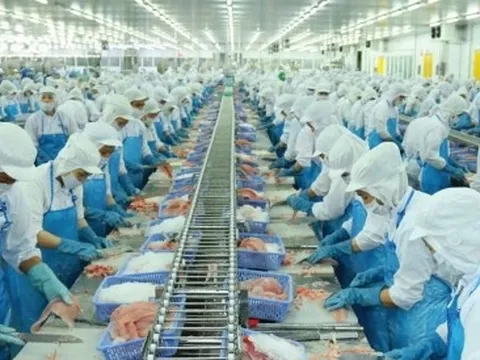 Xuất khẩu thủy sản tăng mạnh, VASEP vẫn lo thuế đối ứng