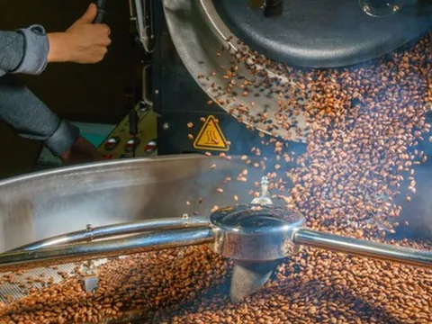 ‘Vàng nâu’ của Việt Nam lao dốc 30% kể từ đỉnh, chuyện gì đang xảy ra?