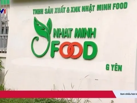 Triệt phá đường dây sản xuất dầu ăn giả cho người từ thức ăn chăn nuôi: 3 năm thu về 8.200 tỷ đồng